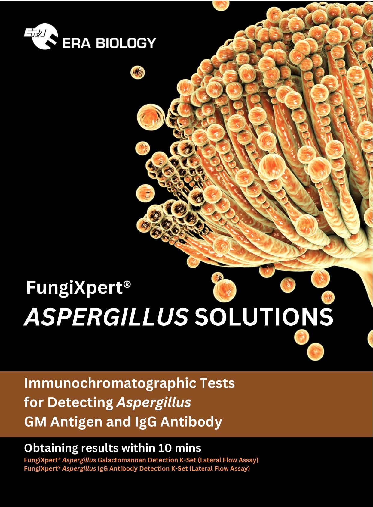 FungiXpert&reg; <em>Aspergillus</em> Galactomannan Detection K-Set (Lateral Flow Assay)
